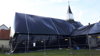 Gemeindehaus Schädlingsbefall